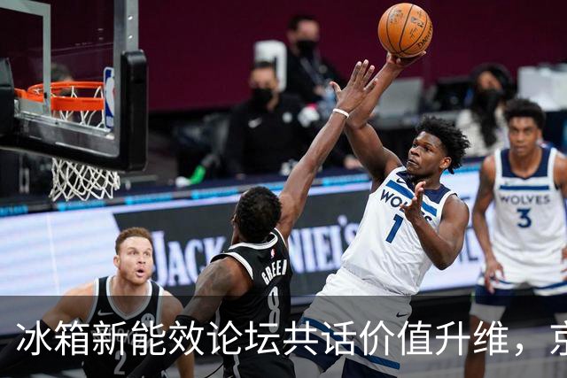 冰箱新能效论坛共话价值升维，京东30小时10万台销量印证焕新势能
